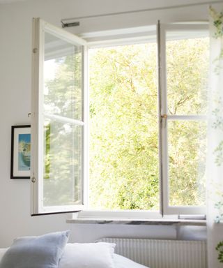 An open square window with two white frames, light green trees outside, and white walls around it