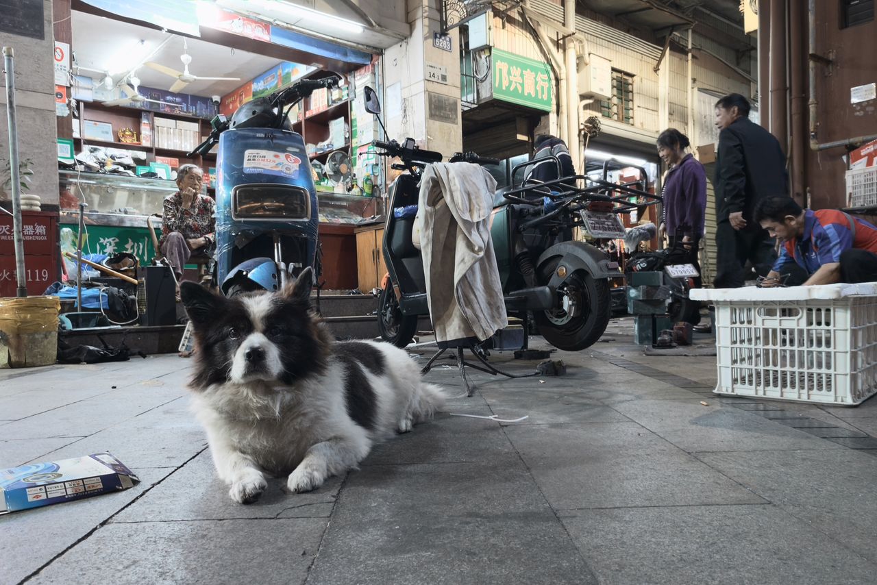 Sample image shot on the Realme GT 8 Pro