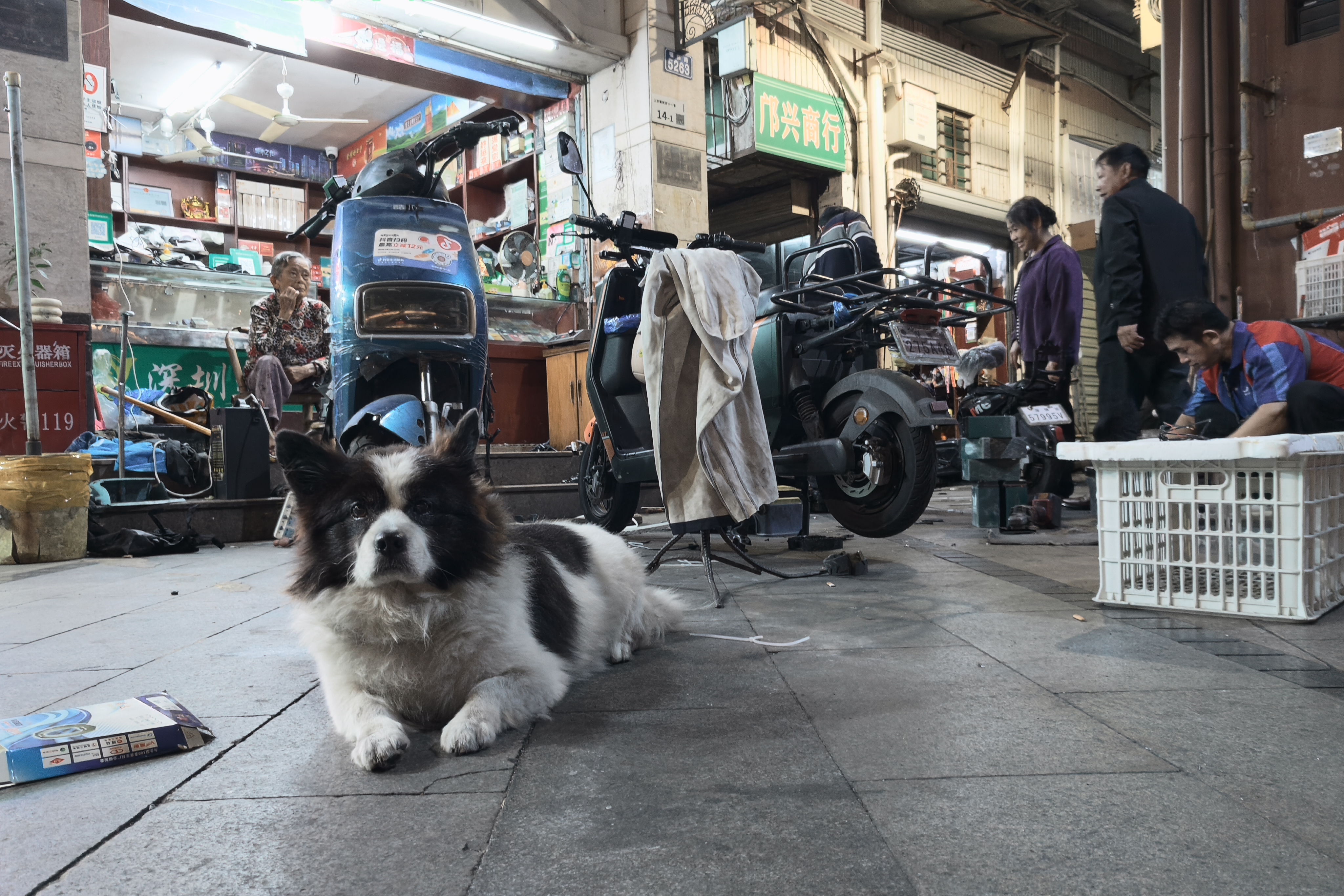 Sample image shot on the Realme GT 8 Pro