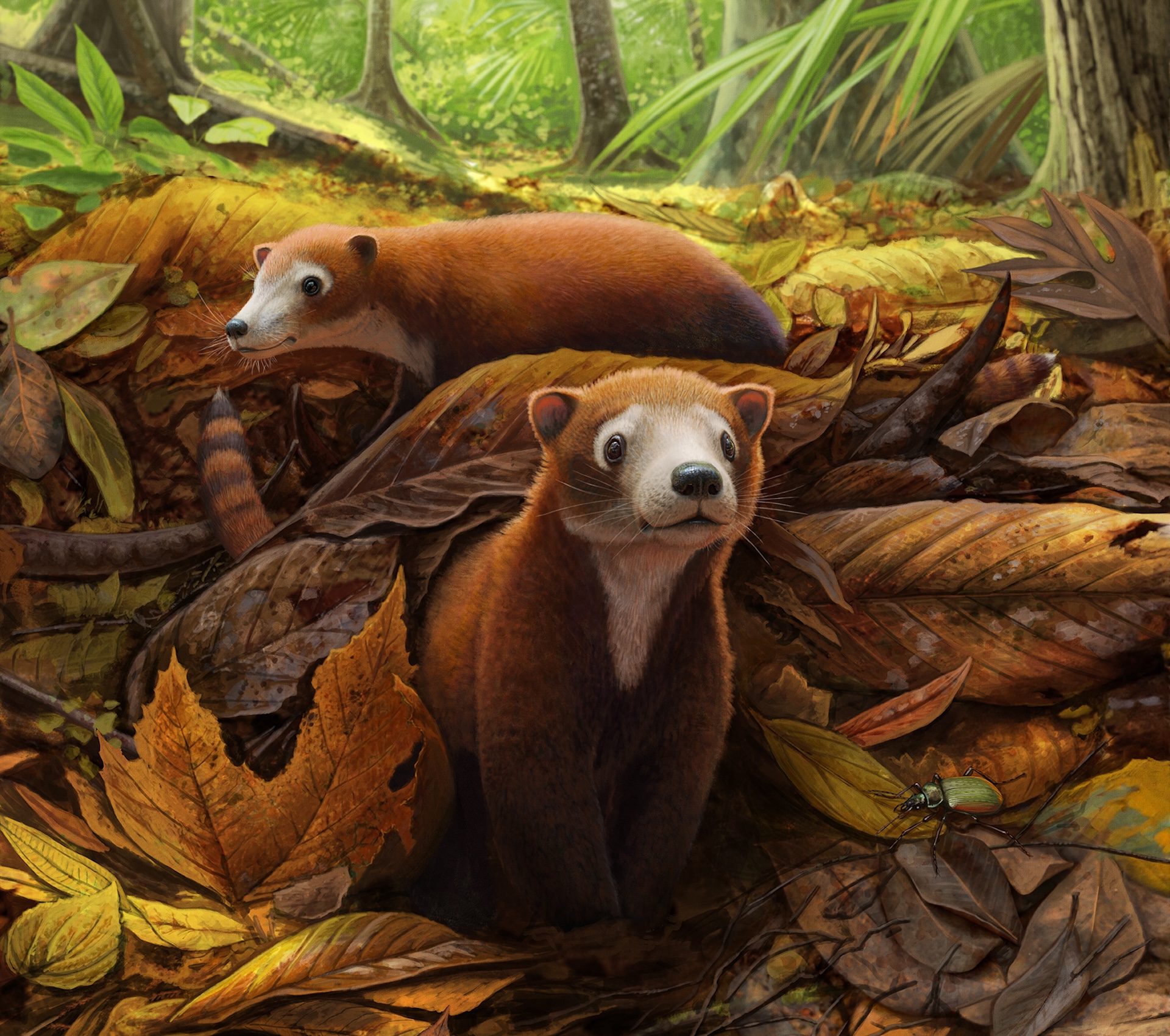 An illustration of two furry creatures in a pile of leaves in the forest.