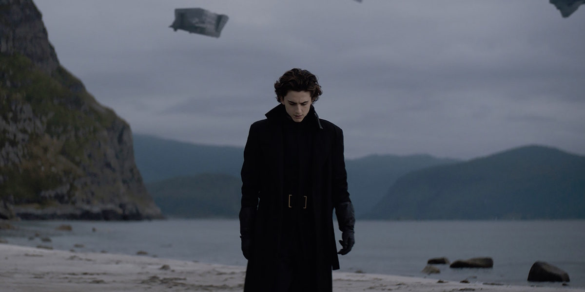 Timothee Chalamet in Dune