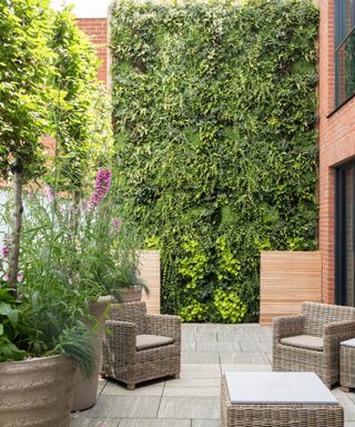 An urban paved garden with wicker furniture, large blooming flowers in pots, a living wall and red brick