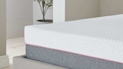 Dusk Cool Gel Foam Hybrid Mattress in bedroom with plant behind