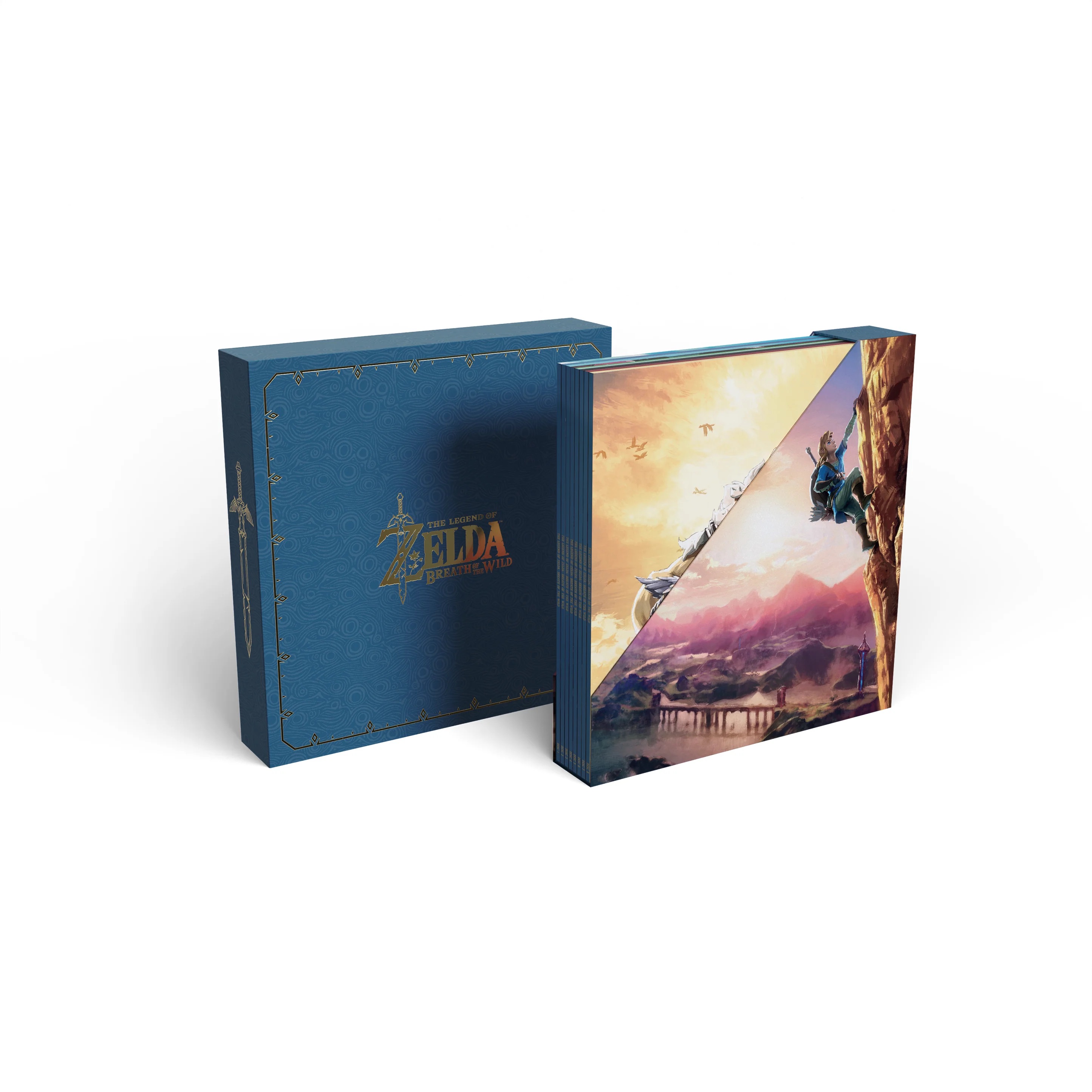 Breath of the Wild Vinyl from different angles