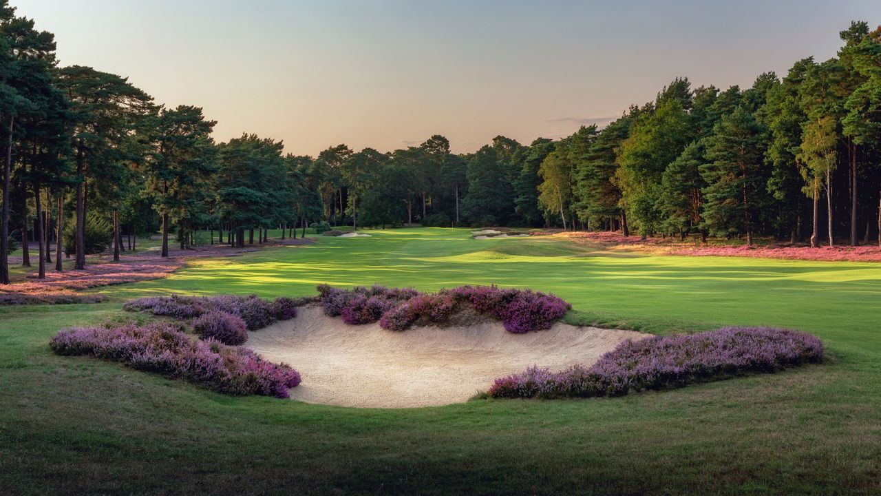 St George's Hill - Hole 6