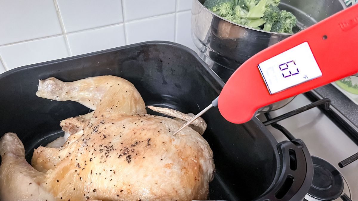 ThermoWorks Thermopen One thermometer