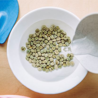 Soaking seeds in a bowl of water