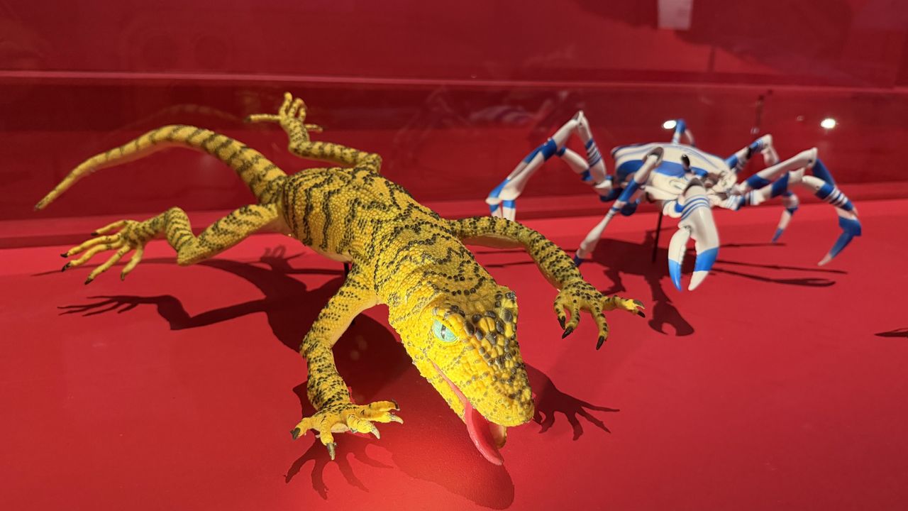Wes Anderson: The Archive Exhibition at The Design Museum, London