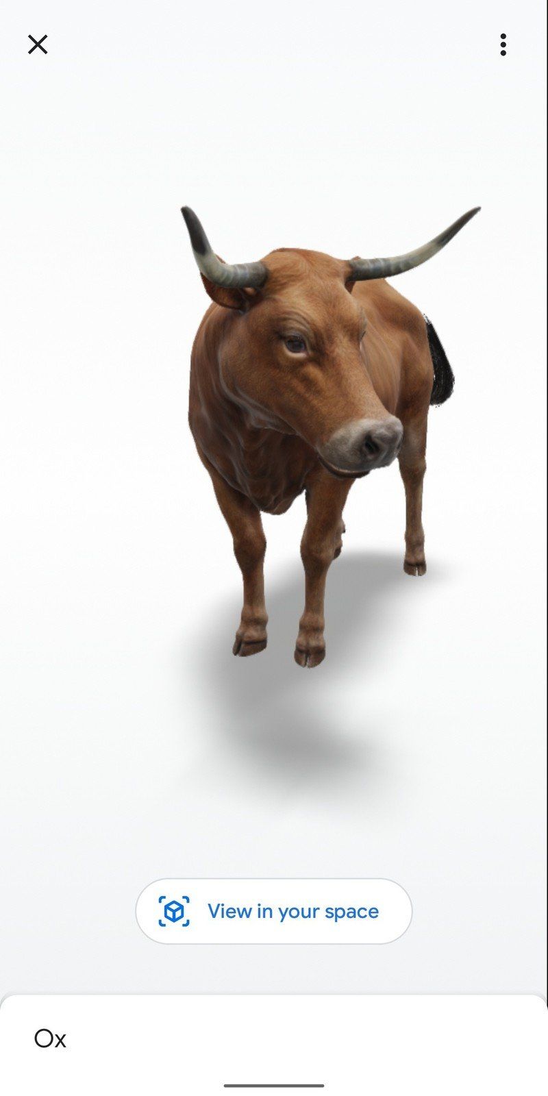 Ox