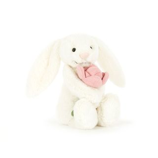 Bashful Bunny 'peony'