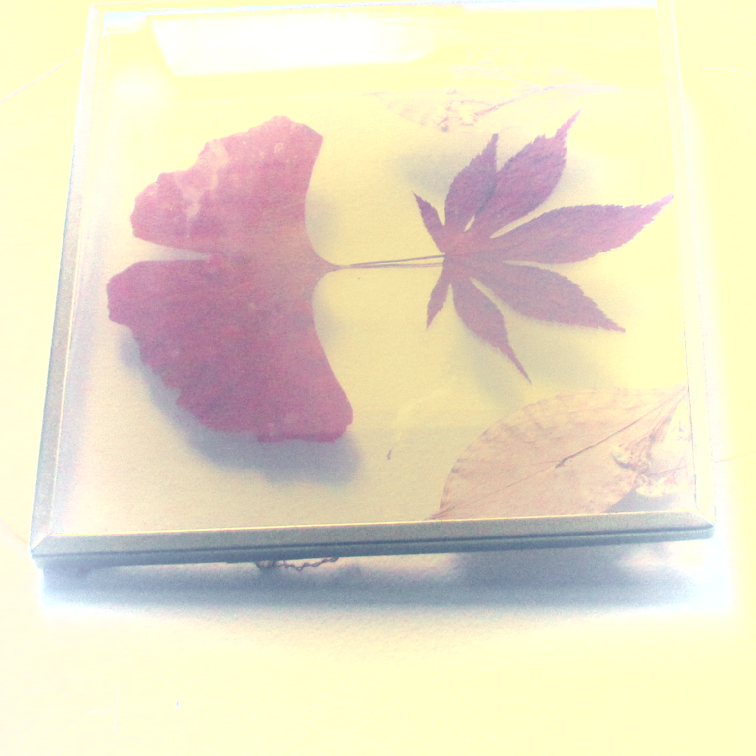 A photo taken on a Canon PowerShot Elph 360 HS A / IXUS 285 HS A compact camera