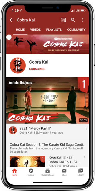 Cobra Kai Youtube