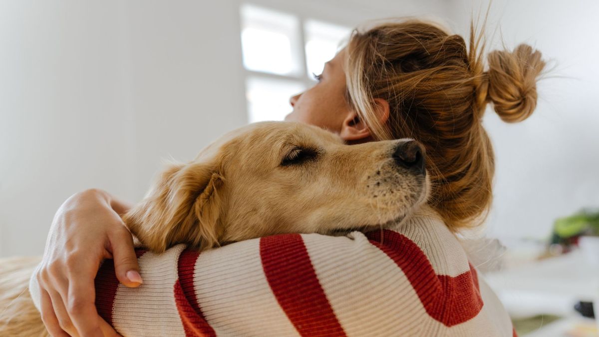 Person hugging dog