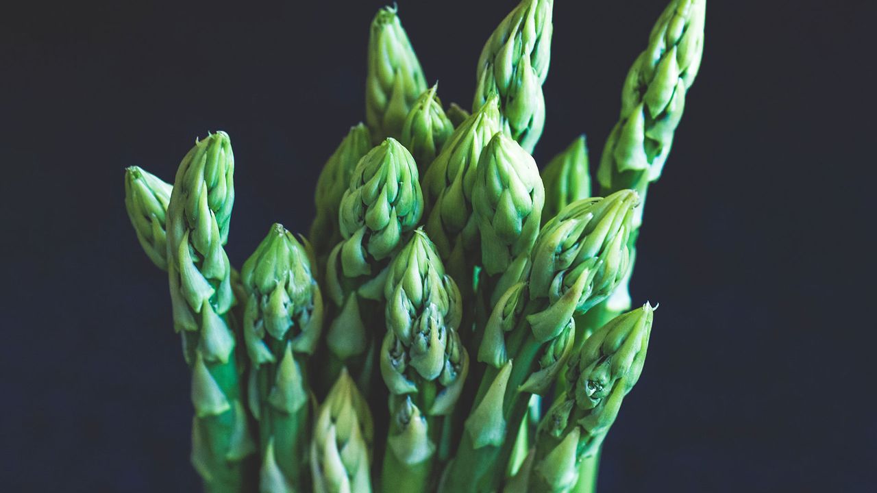 Photo of asparagus stems