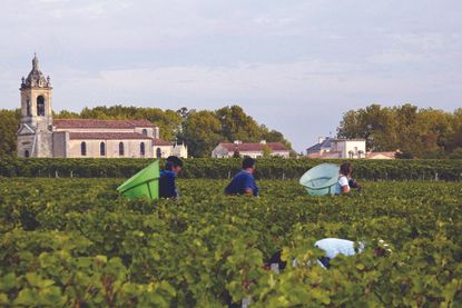 Bordeaux 2010 Vintage Guide