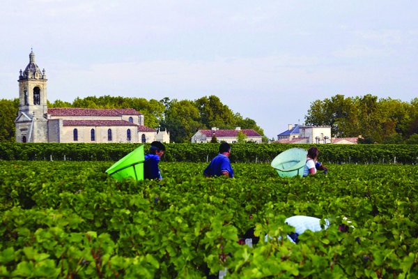 Bordeaux 2010 Vintage Guide