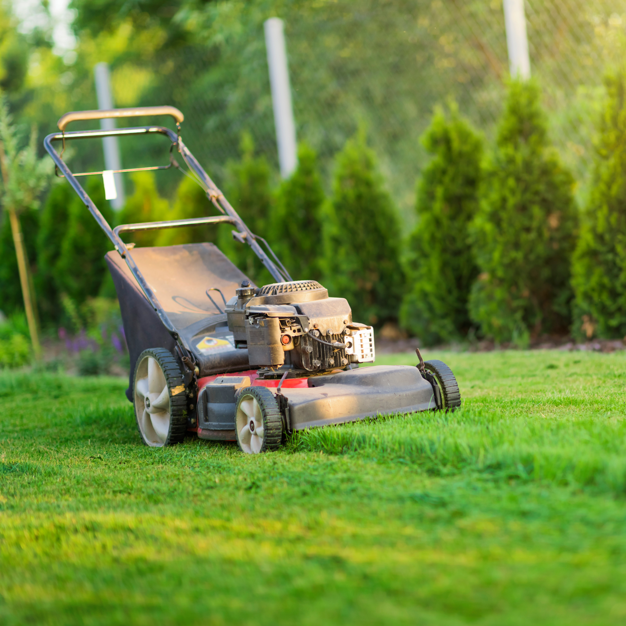 lawn mower in yard