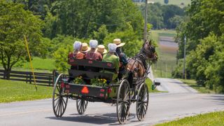 Seven Amish people ride in a horse-drawn buggy on a road in a lush green landscape