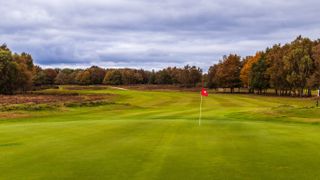 Sutton Coldfield Golf Club - Hole 4 - Green