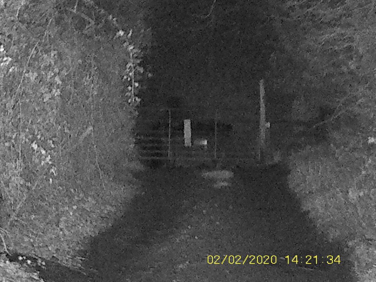Sample images from the Rexing B1 Basic