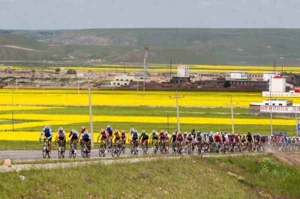 The peloton on a small climb at around 70km.