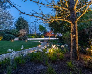 garden featuring lit path and trees
