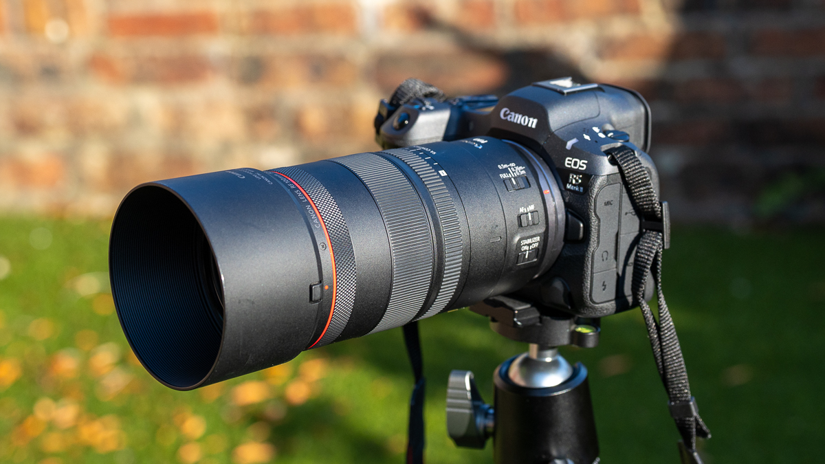 Canon RF 100mm F2.8L Macro IS USM and Canon EOS R5 II on a tripod in a garden