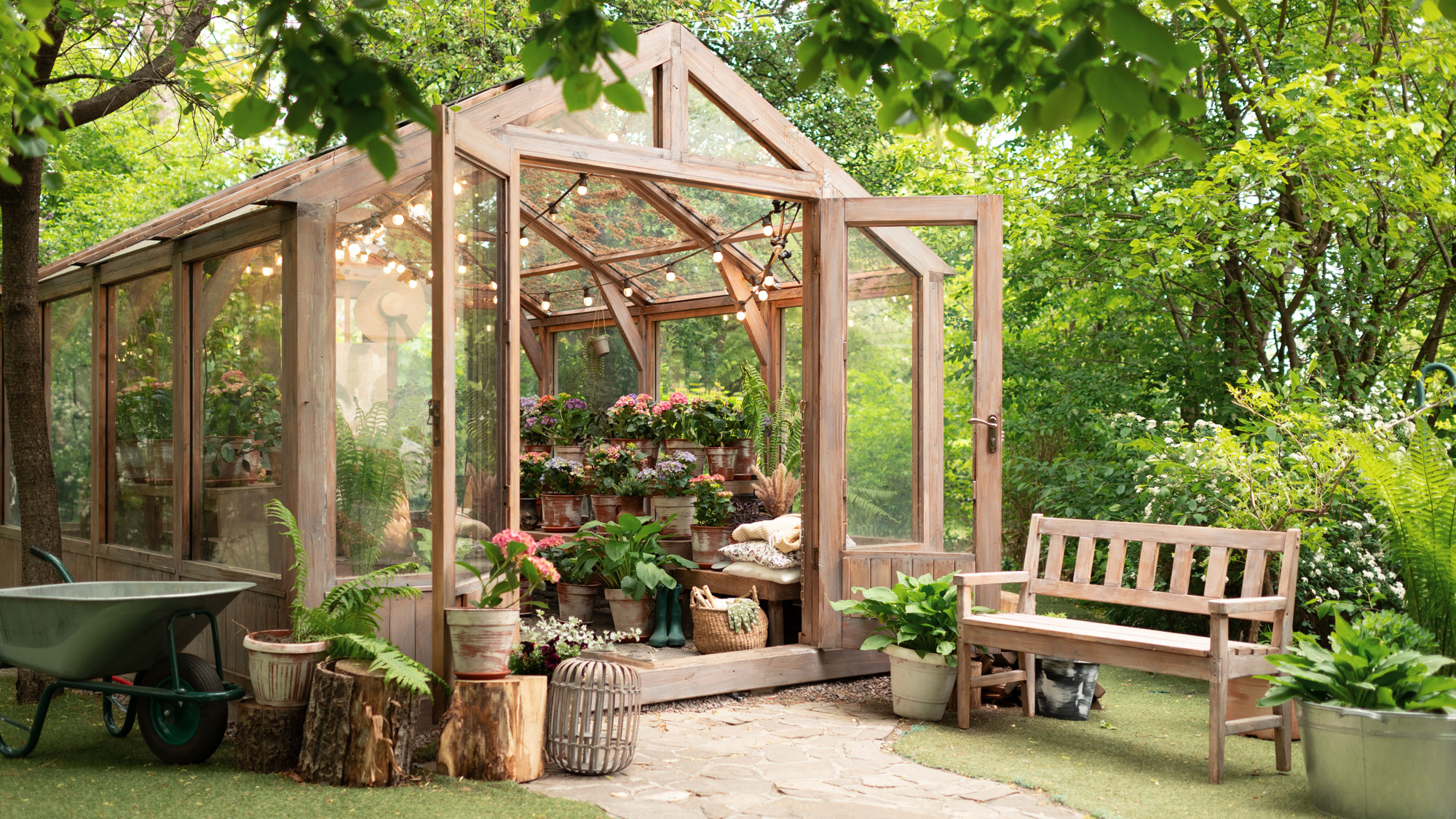 wooden frame greenhouse showing plants and hanging lights with bench outside