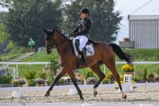 Eventing European Championships dressage Michael JUNG (GER) riding fischerWild Wave during the dressage phase at the FEI Eventing European Championships at Avenches held at IENA in Switzerland between the 23-26 September 2021