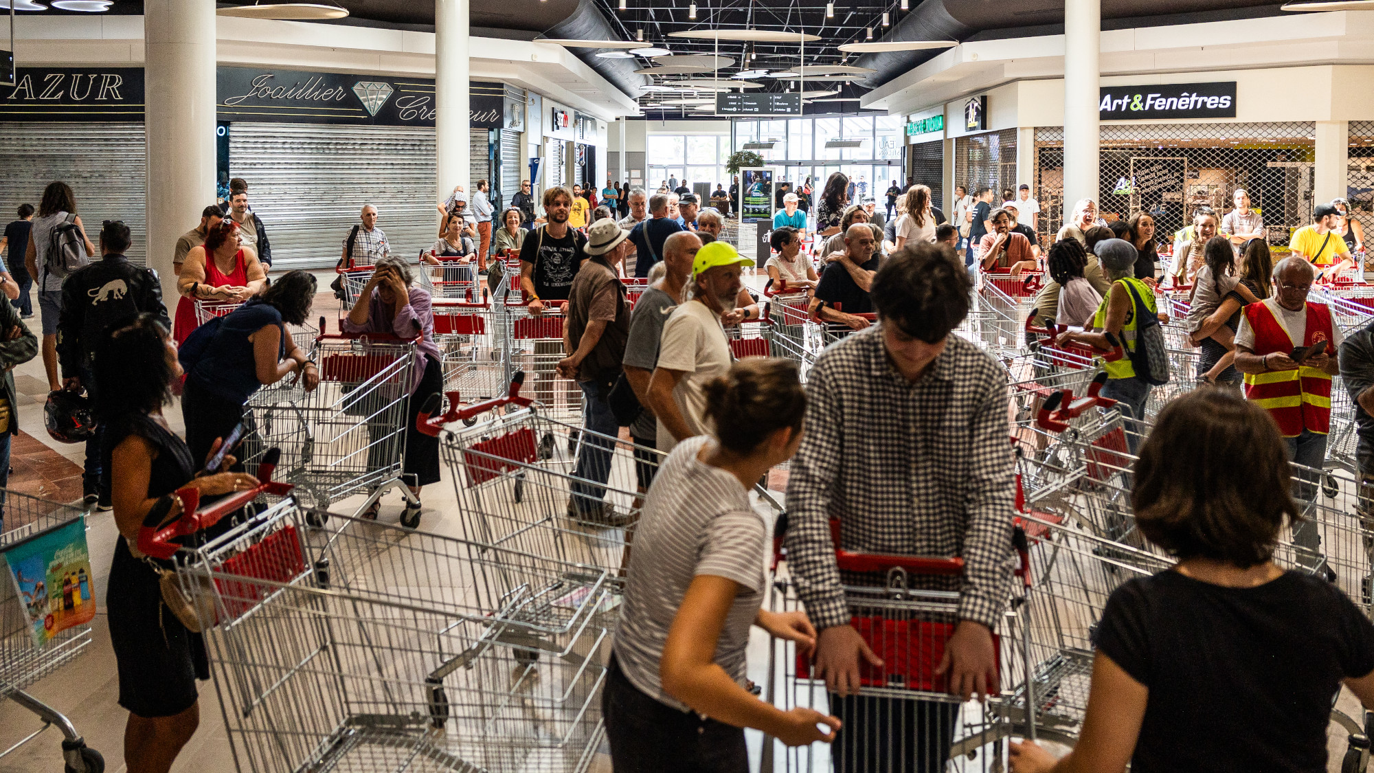 Shopping carts