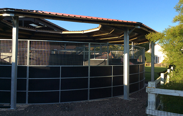 eilberg yard8