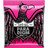 Ernie Ball Paradigm