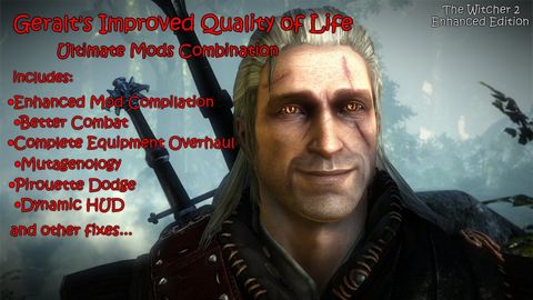 the witcher 2 mods
