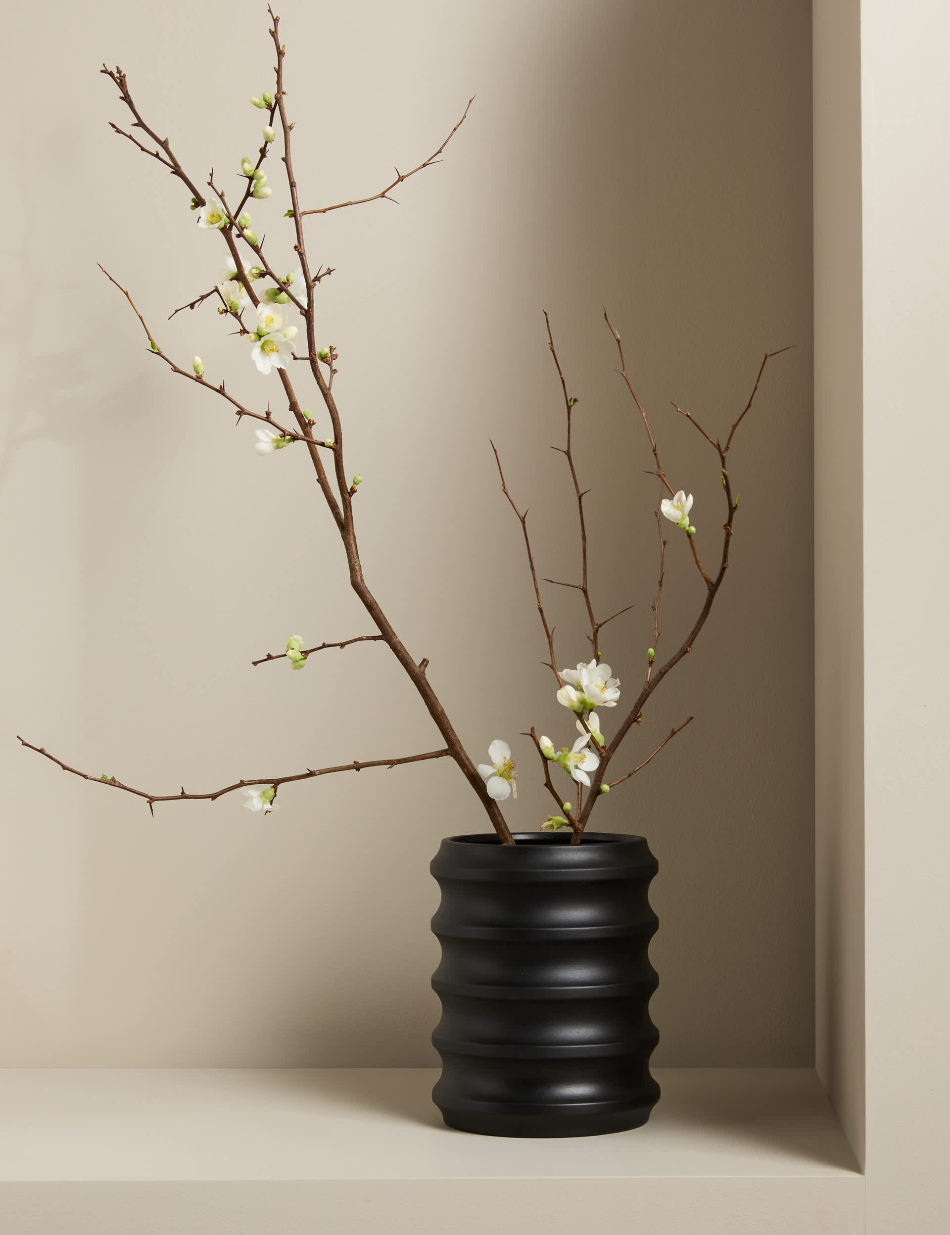 Short Ribbed Ceramic Vase