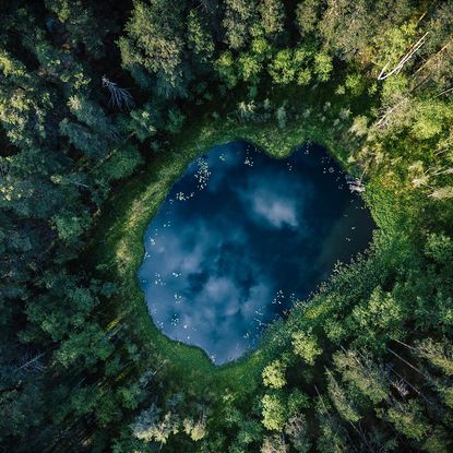 Blue lake in forest