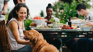 friends having a meal, woman petting dog in foreground