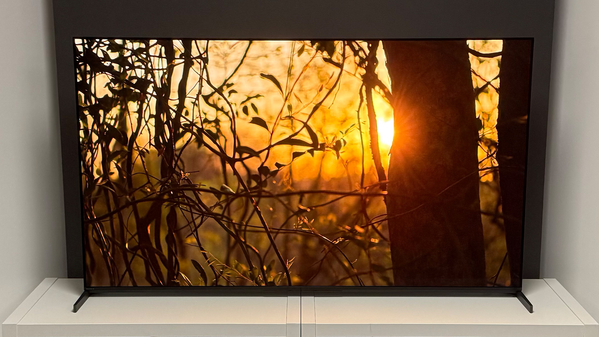 The 55-inch Sony Bravia 8 II QD-OLED TV photographed on a white table. On the screen is a nature documentary.