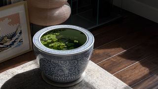 an indoor pond in blue-and-white pot with floorboards and next to lantern and artwork