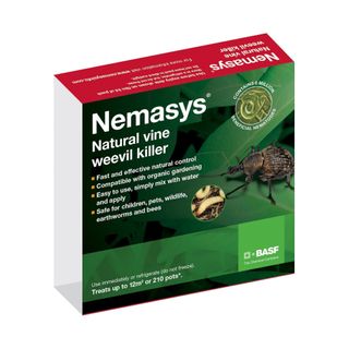 Green packet of Nemasys vine weevil nematodes on a white background