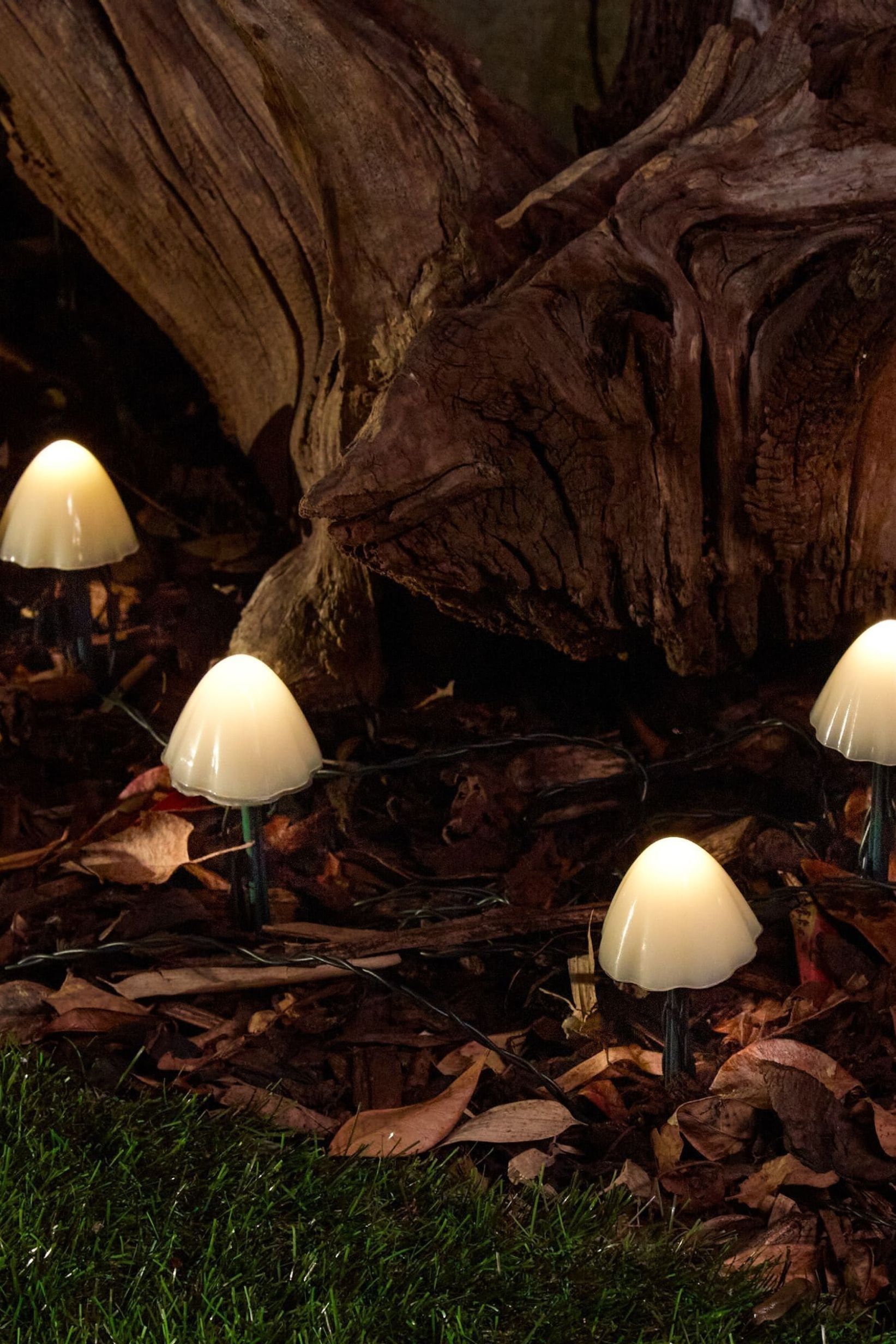 SolarCentre, Solarcentre Set of 12 Clear Solar Mushroom Lights