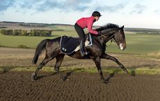 Lucinda-Green-rides-Sprinter-Sacre-IPCIMMGLPICT000004219774.jpeg