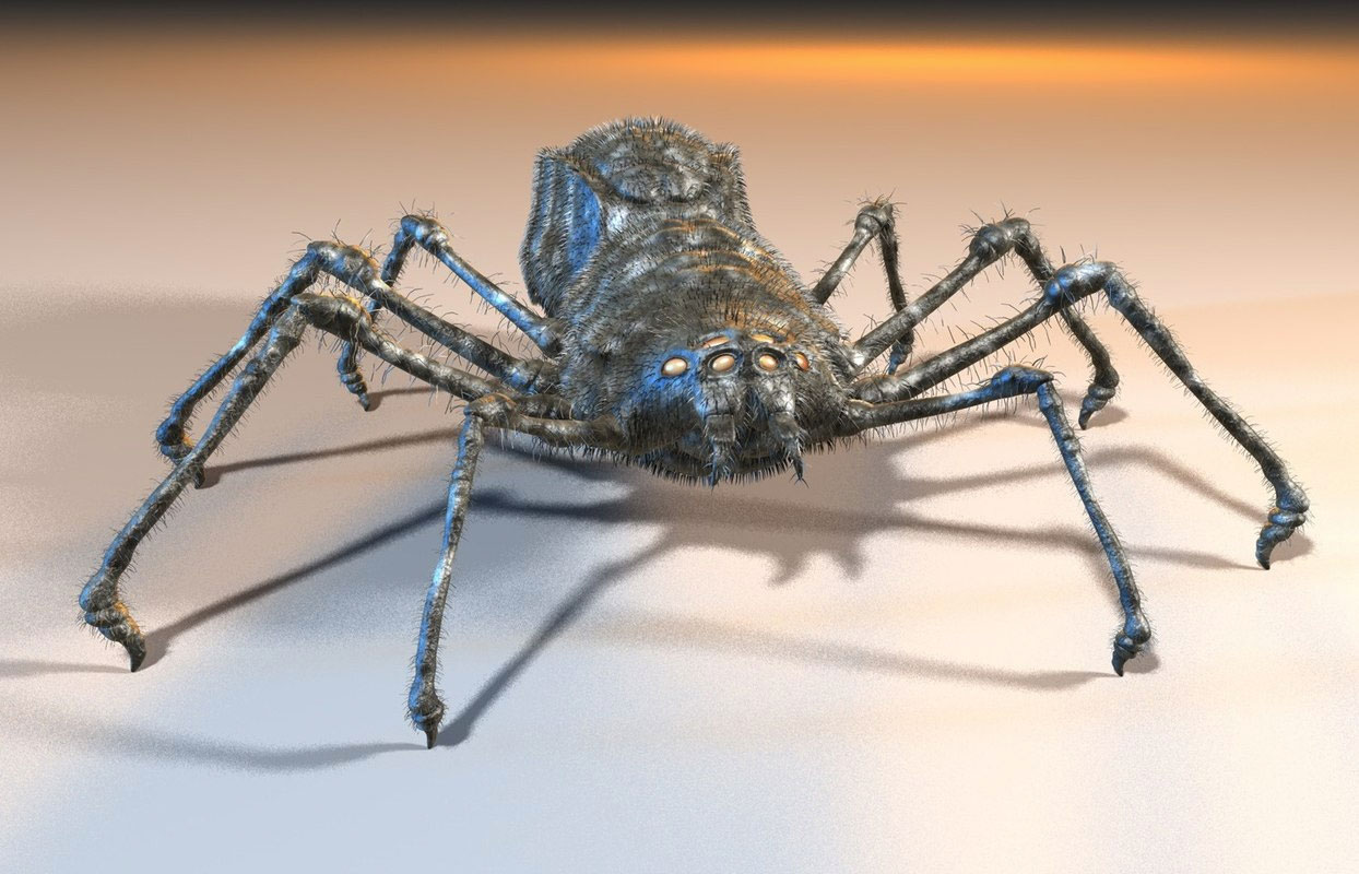 Free 3D models: spider