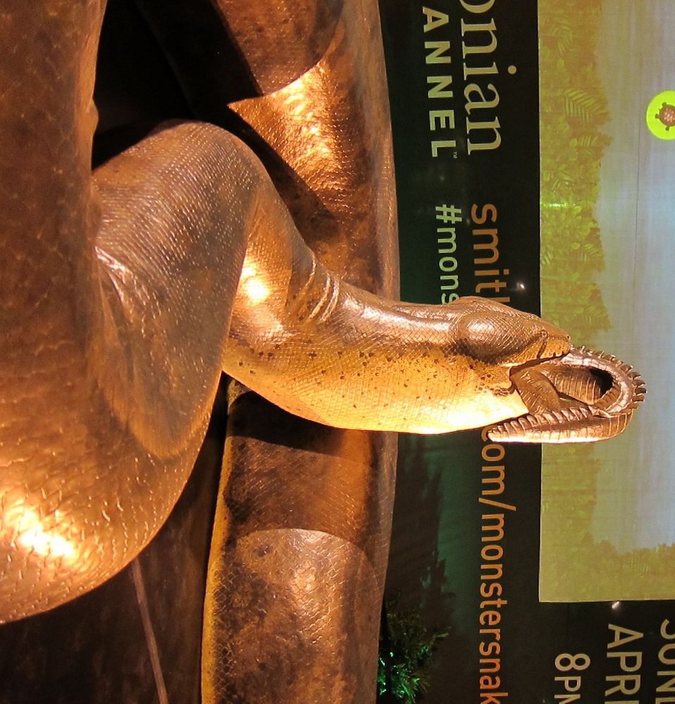 A recreation of a gigantic snake is displayed in Grand Central. 