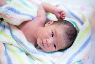 A newborn baby gazes at something