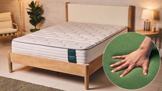 The main image shows the Leesa Studio Chill mattress on a bed frame. On the left is an ident showing a close up of a hand pressing into the new GreenFlex BioFoam