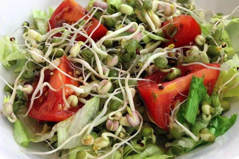 Sprouts in a salad