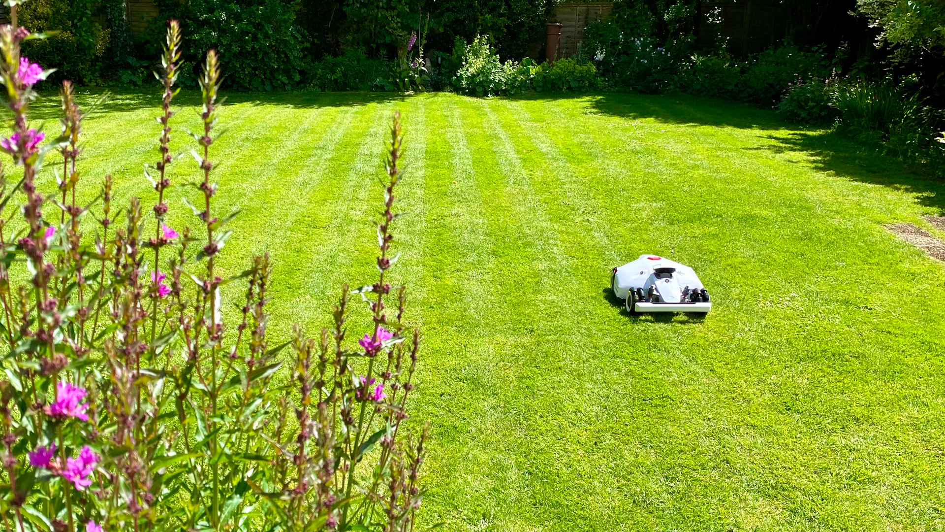 Mammotion LUBA 2 AWD cutting stripes into a lawn