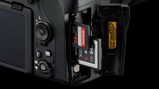 Nikon D850 and D500 DSLRs will get CFExpress card support