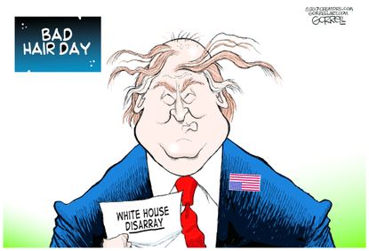Political Cartoon U.S. Donald Trump bad hair day