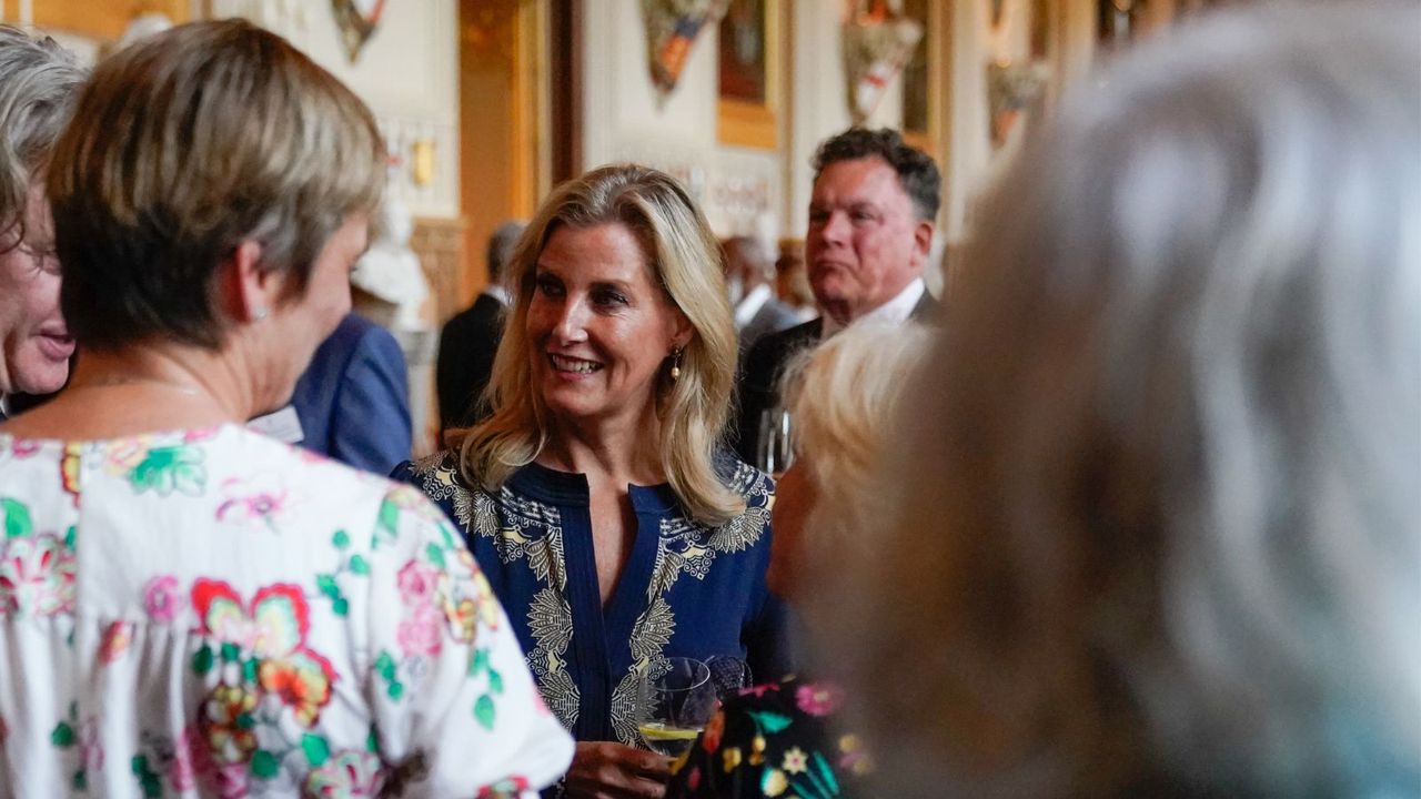 Duchess Sophie&#039;s detailed tunic dress in midnight blue was the perfect regal look as Her Royal Highness attended an engagement in Windsor